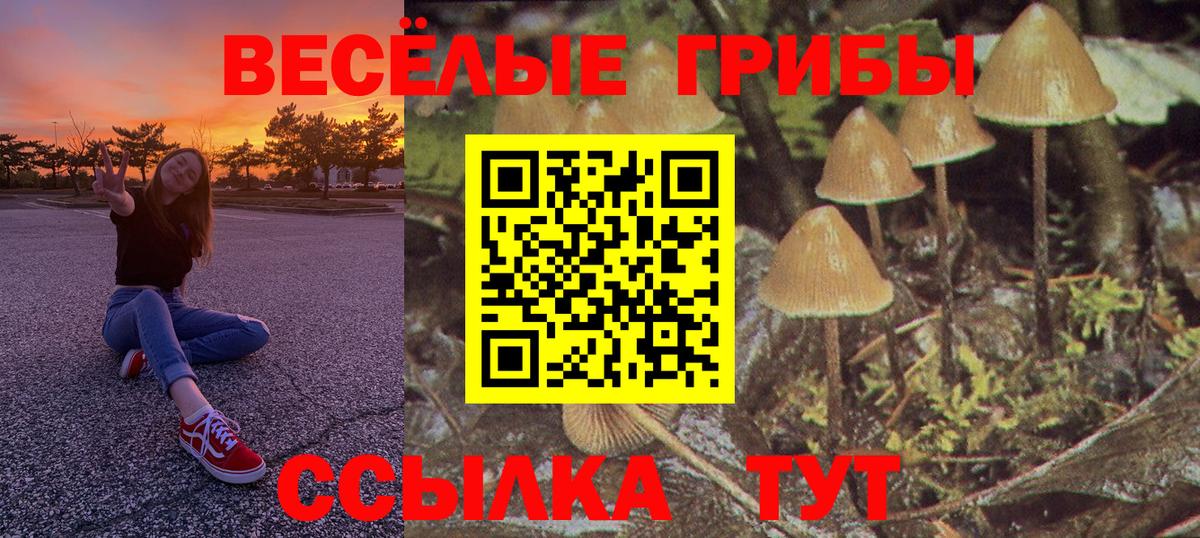 купить закладку  Псилоцибиновые грибы Psilocybine cubensis  Галлюциногенные грибы мухоморы  Вход с VPN  Луховицы 