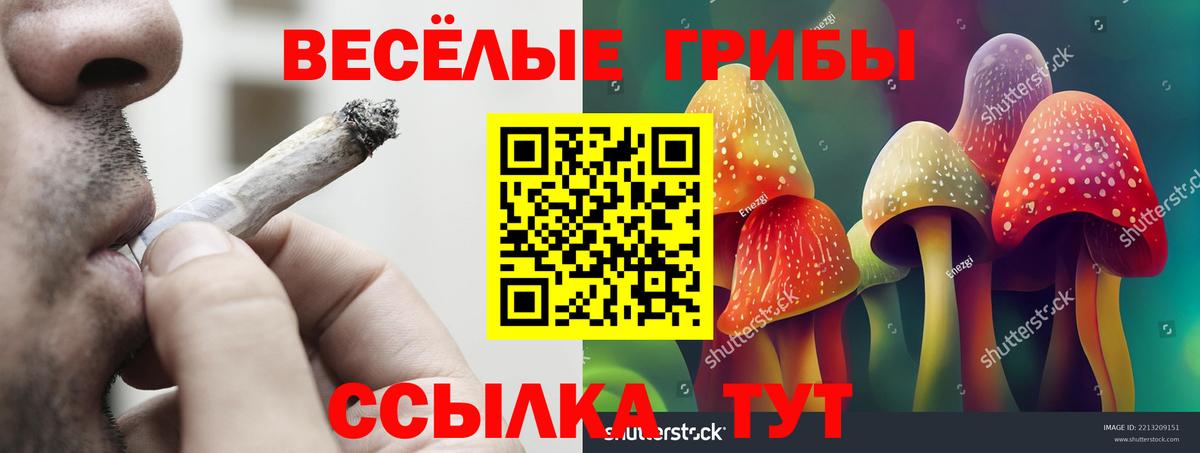 Галлюциногенные грибы Psilocybine cubensis Луховицы